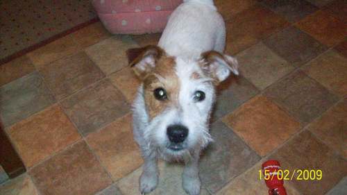 jo1508's profile picture. 