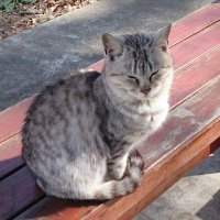 🐟 (@fcr0842361) 's Twitter Profile Photo 🐟 (@fcr0842361) 's Twitter Profile Photo