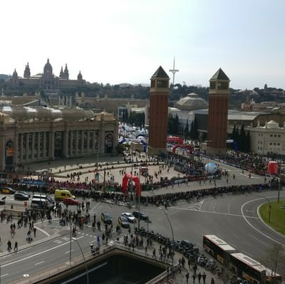 peterarol's profile picture. La opinión es lo que realmente importa. Y el respeto debe ser lo primero.