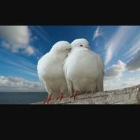 Genc Aktif (@gencaktif4) Twitter profile photo