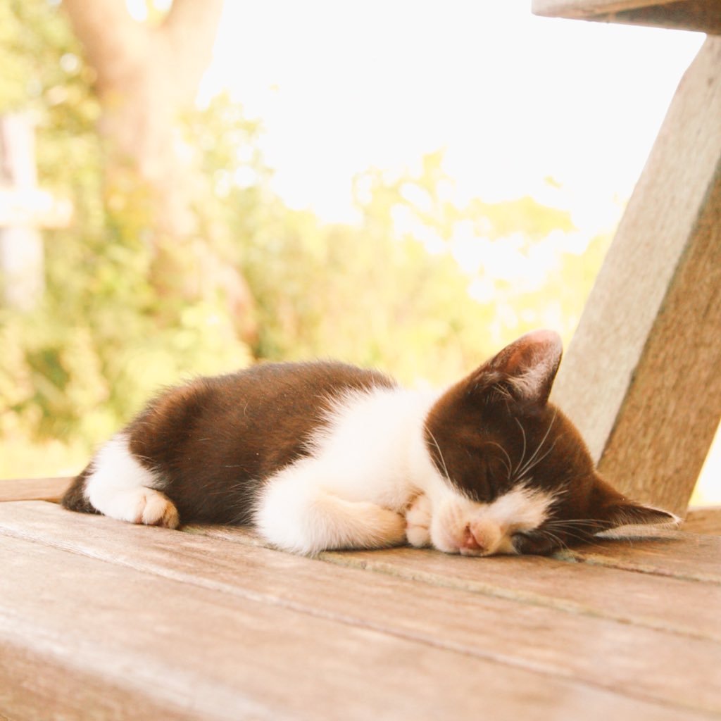 leiya85518's profile picture. All the love I have felt