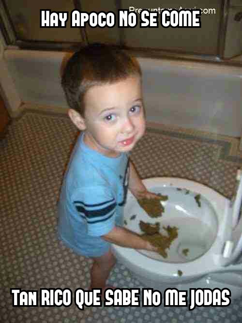 ninoratalake's profile picture. Eemmm... eso #Pargelas #niñoRata24h