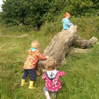 Sarah Woodward (@swchildminder) 's Twitter Profile Photo Sarah Woodward (@swchildminder) 's Twitter Profile Photo