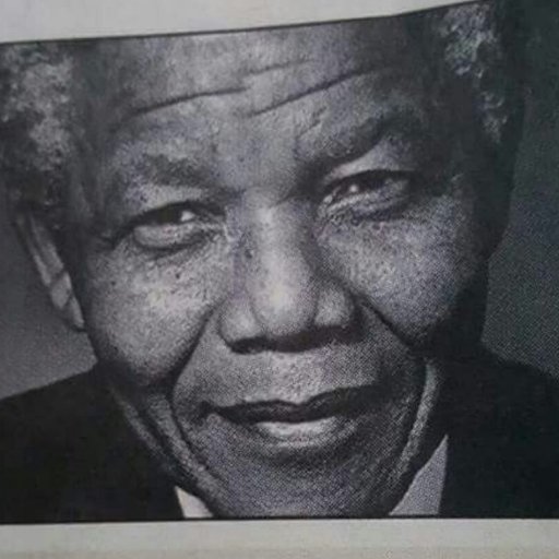 Owen_ahrendse's profile picture. 🐦