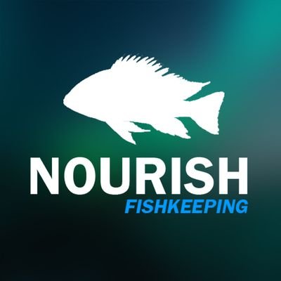 Tienda y productora de corto documentales de la vida acuática, salvaje y del acuario. #Fishkeeping
Facebook: https://t.co/TWwbnjW5l9
YouTube: https://t.co/sMLTxkHdgY