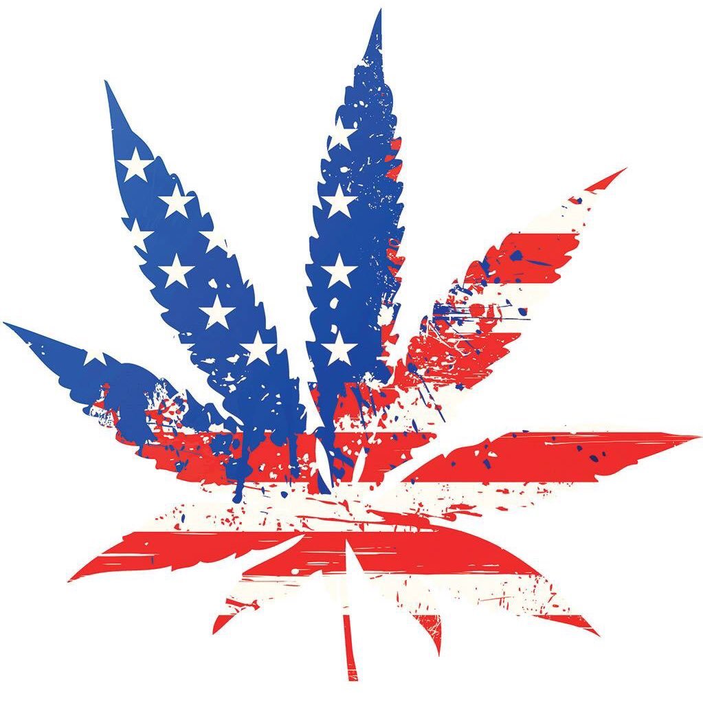 Nick Vieno- Green Owl LLC - Cannabis Consultant/Entrepreneur/Inventor/ Podcast Host