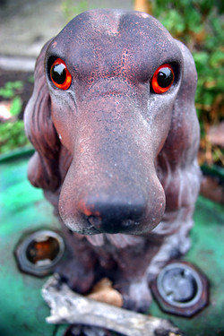 hotomomb's profile picture. 