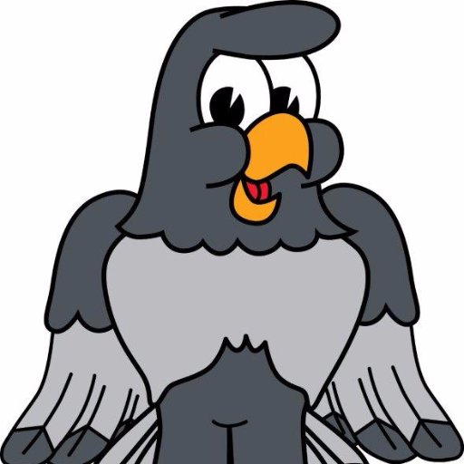 pflugerfalcons's profile picture. Where great minds soar!