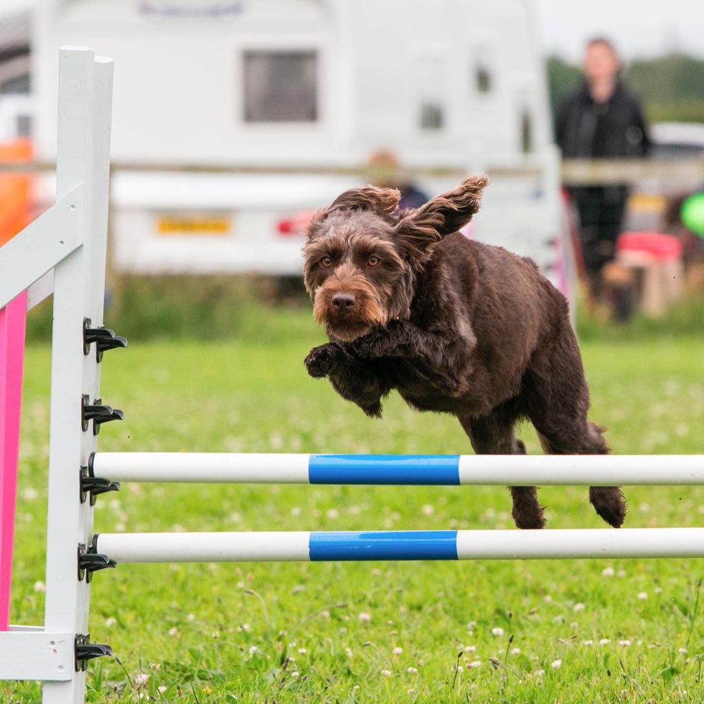 michynysmon's profile picture. It's not the will to win that matters everyone has that. It's the will to prepare to win that matters. P.Bryant