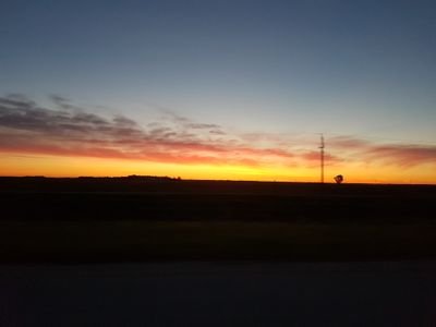 MarjSMark's profile picture. 