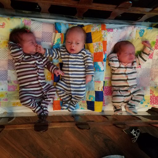 Born April 5th 2017 Hazel, Gwenn & Rex joined mother Christy and father Jeff.