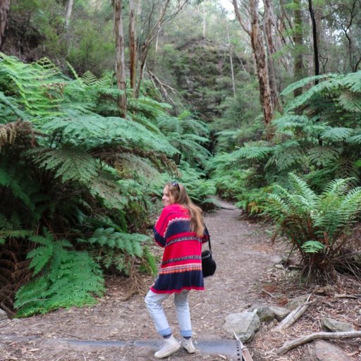 bridging_it_'s profile picture. not-so-proud mum of a very crusty looking fiddle leaf fig