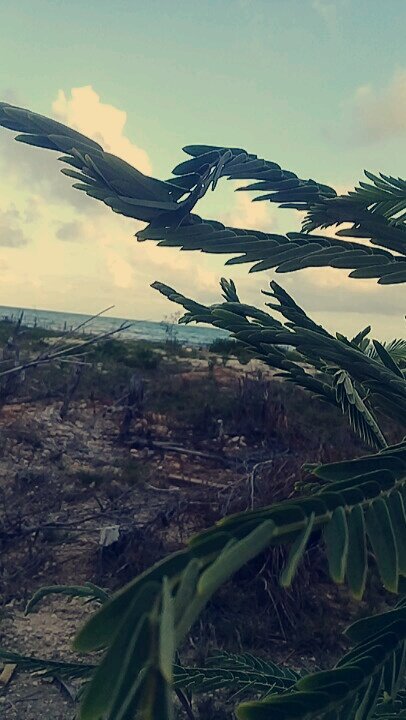 I am the Bahamian kid.
Ask me anything about the bahamas.
Ask me how it feels to be a BAHAMIAN.😁😁😁