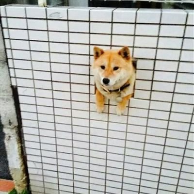 じむにんさんのプロフィール画像