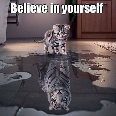 ankit4up's profile picture. 