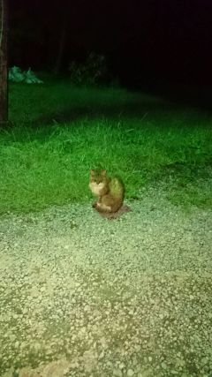 123pirapira's profile picture. 頭の中は空っぽだ〰。

笑顔が大好き、
おバカさんですけど、仲良くして下さい❗