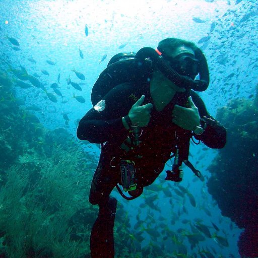 Robertmgray41's profile picture. 