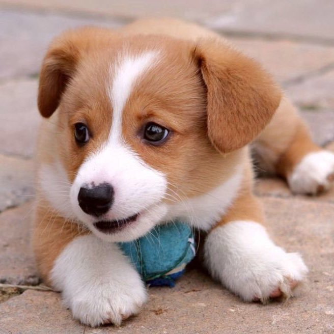 Joel77641206's profile picture. 