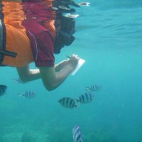 Enviro Sci-Bio (@uonenviro) 's Twitter Profile