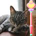 masao627's profile picture. ＃S2000  #ねこ　＃らーめん　＃湘南食い倒れ日記　2023年7月2日のTwitter（X）の不具合は忘れない。毎朝の生存確認しています♪　何かの際の緊急連絡はFacebookかInstagramへ！