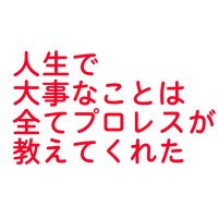 まっくす(@kmaxjapan) 's Twitter Profile Photo