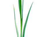 eleanor ann brownell - @difference123 - Twitter