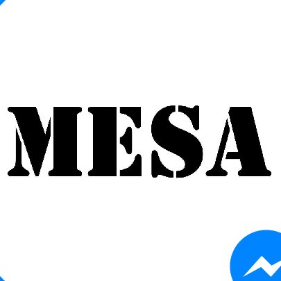 Mesa Lighting is a manufactory since 2008 in China, we focus on modern led wall lamp, picture light, led mirror light☀️