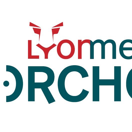 Lyon Metropole Orchestra, un orchestre d'harmonie qui réunit 75 musiciens amateurs passionnés. Notre devise : With friends and music life's different !