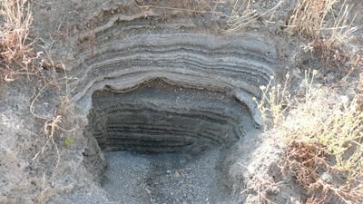 CaveCenam's profile picture. Nö