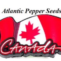 Atlantic Pepperseeds(@APS_pepperseeds) 's Twitter Profile Photo