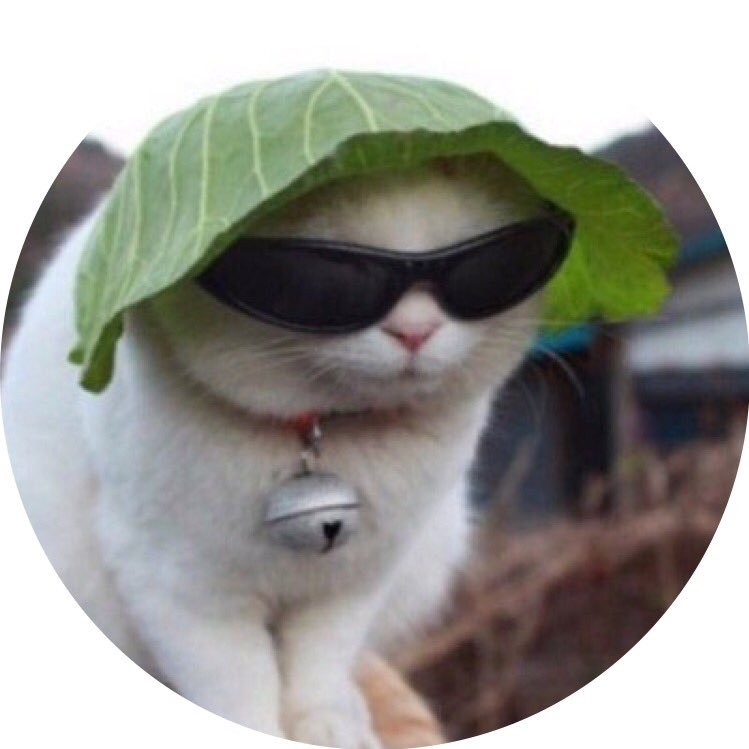 NineeCypherrr's profile picture. Editor for ?