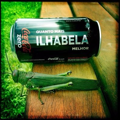 pxilhabela's profile picture. Publicitário, Promocitário, Empresário, Corinthiano, Fã da F1, de Tênis e de Ilhabela. Pai do @AlfinetePeixoto