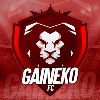 Gaineko Fc 🦁