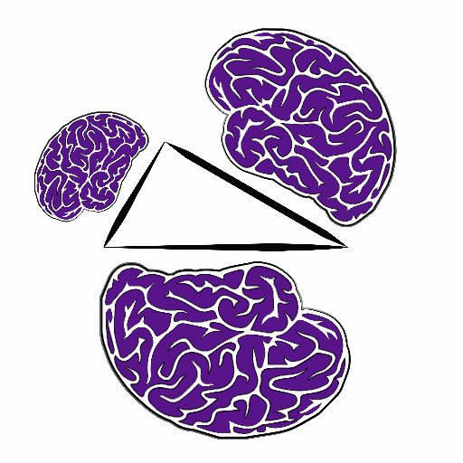 Our lab, directed by @Moira_Dillon, investigates the development of those cognitive processes that make us human! Follow us on Instagram: labdevelopingmindnyu