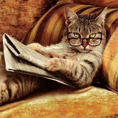 splrules's profile picture. Human.Woman.Proud of who I am.