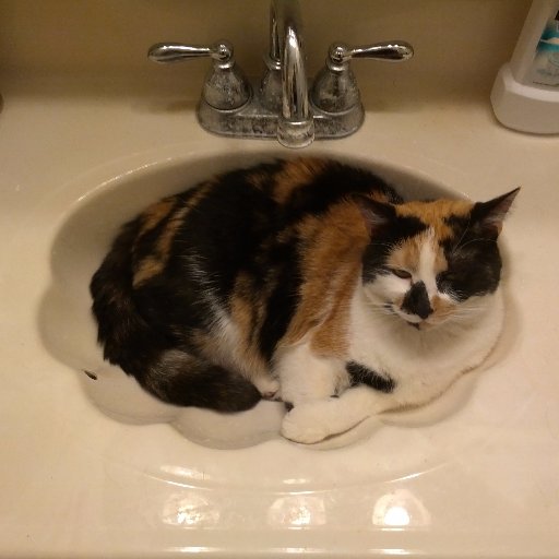 sk1773lz's profile picture. Professional DFIR/CTI analyst. Amateur CI/NATSEC/geopolitical analyst. Fascinated by maths/compsci/engineering/econ/politics. Also a cat.