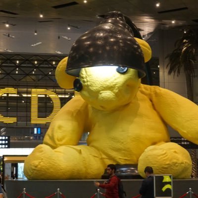 skymemory11's profile picture. 