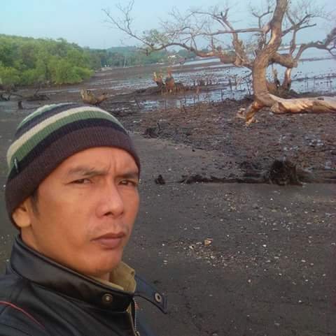 081335910343//Wa