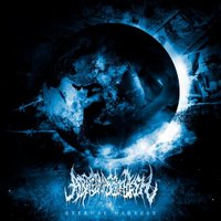 Abated Mass of Flesh (@amofslams) 's Twitter Profile