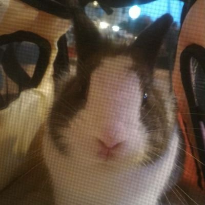 michirunmashiro's profile picture. 