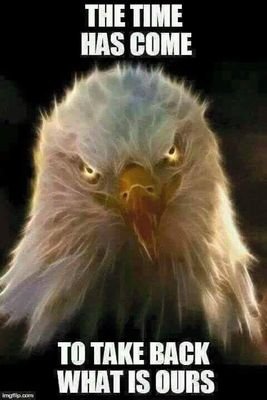 PureAaronO's profile picture. Always amazed by the truth and how long it takes to come out ! Everything is doctored,edited, or just plain out lies. We expect a lie before we believe anything