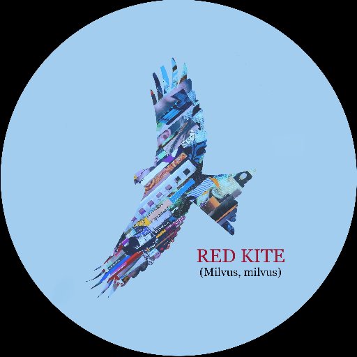 UK Folk Rock Band.