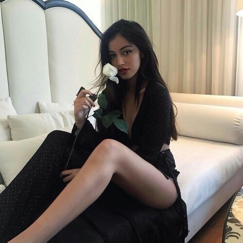 havelintrades's profile picture. 