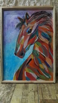 janrooz1's profile picture. 