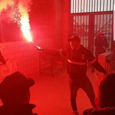 The_Casual88's profile picture. Noches de lunas llenas  #Lobos