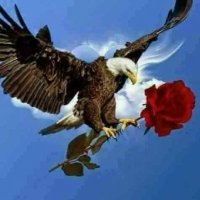 Özkan Oskan (@ozkanodkan474) Twitter profile photo