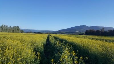 Living the dream of crop farming in Tasmania