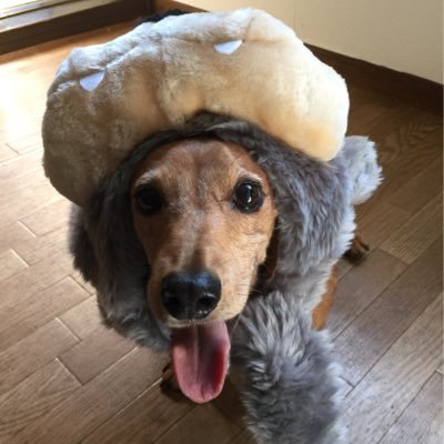 ミミ55 (@mimi5555vfk) / Posts / X