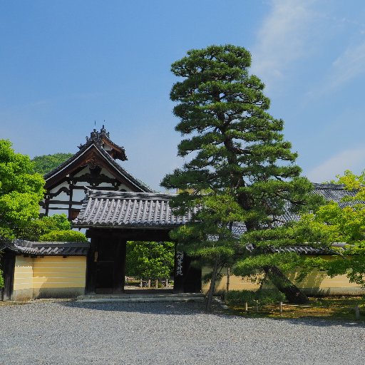 京都府京都市北区にある臨済宗天龍寺派の寺院・等持院の公式アカウントです。最新情報を発信していきます。