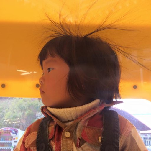 ogurakiichi's profile picture. 千葉県館山市で米屋と最中種（もなかの皮）製造とグラフィックデザイナーとタバコ自販機オペレーターやってます。趣味はロックレコード鑑賞。チワワとホーランドロップ、金魚２匹と同居中。